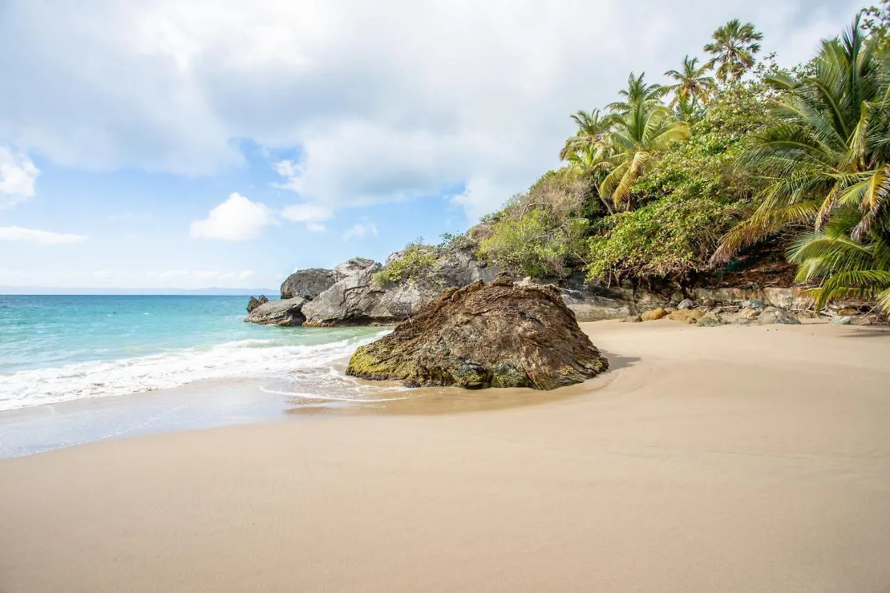 Апарт отель Xeliter Vista Mare, Samana Апарт-отель