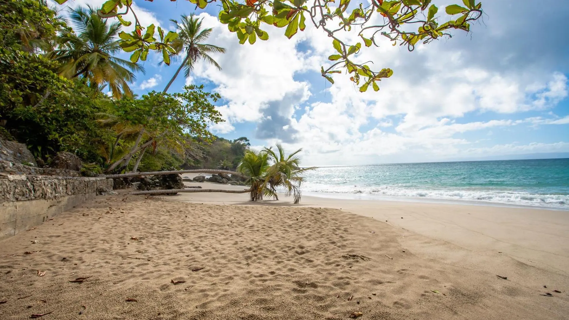 Апарт отель Xeliter Vista Mare, Samana